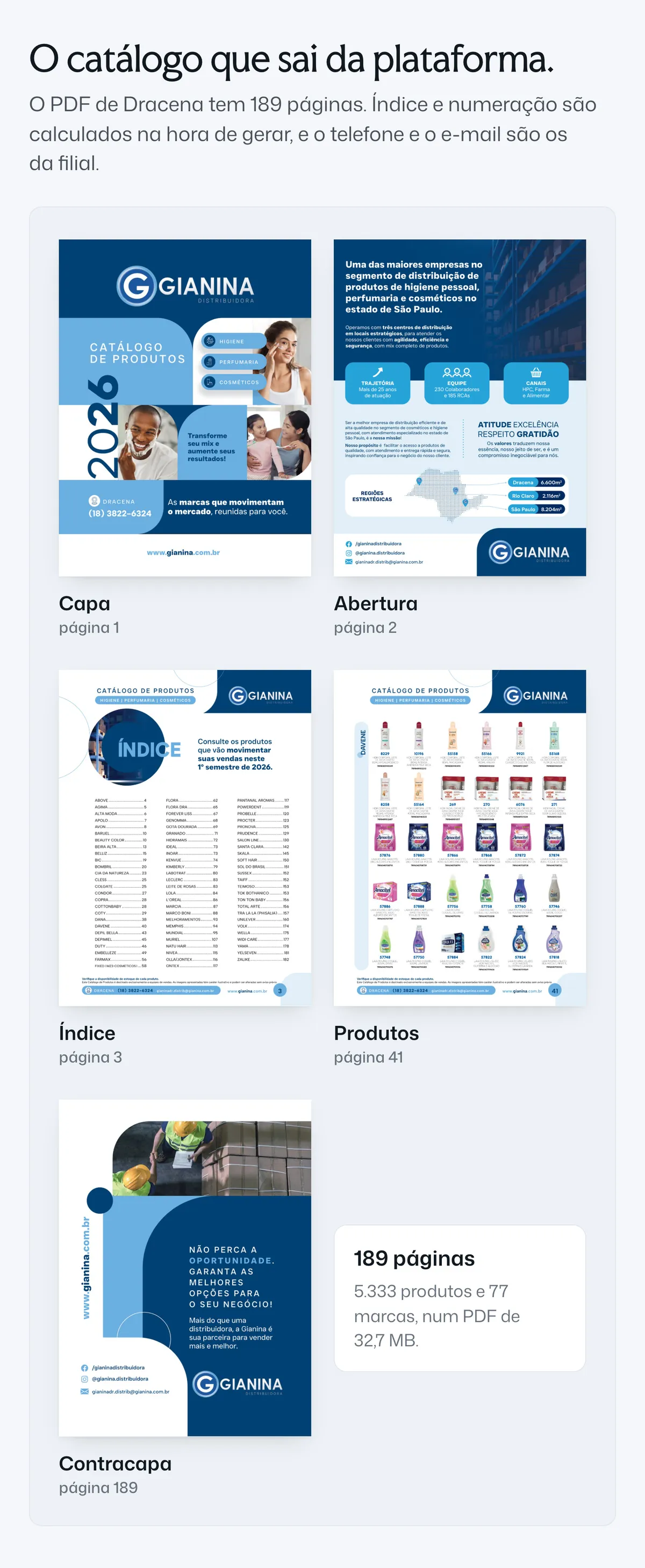 Cinco páginas do PDF de Dracena gerado pela plataforma: capa, abertura, índice, produtos e contracapa