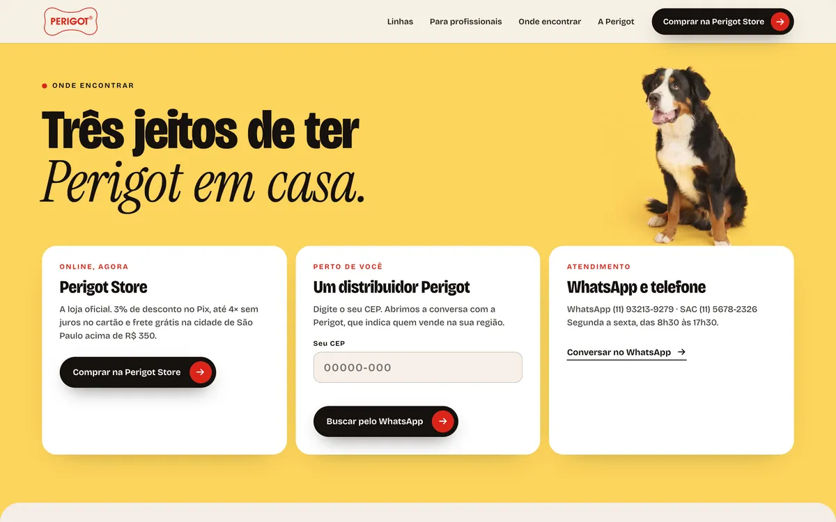 Seção Onde encontrar: Perigot Store on-line, distribuidor pelo CEP e WhatsApp e telefone, com o bernese ao fundo